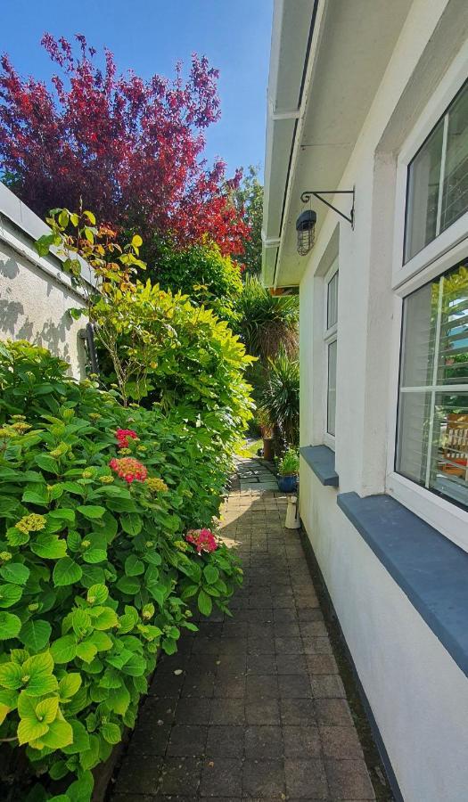 124 ,Castlelawn Heights, Headford Road Galway Homestay 외부 사진