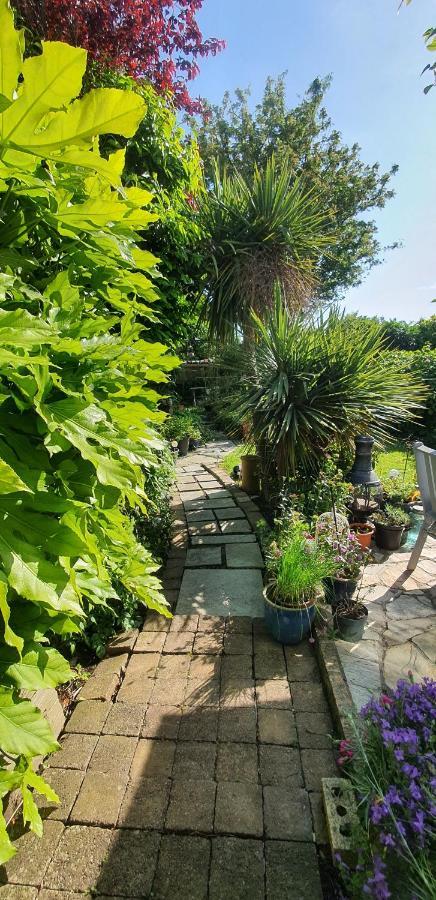 124 ,Castlelawn Heights, Headford Road Galway Homestay 외부 사진
